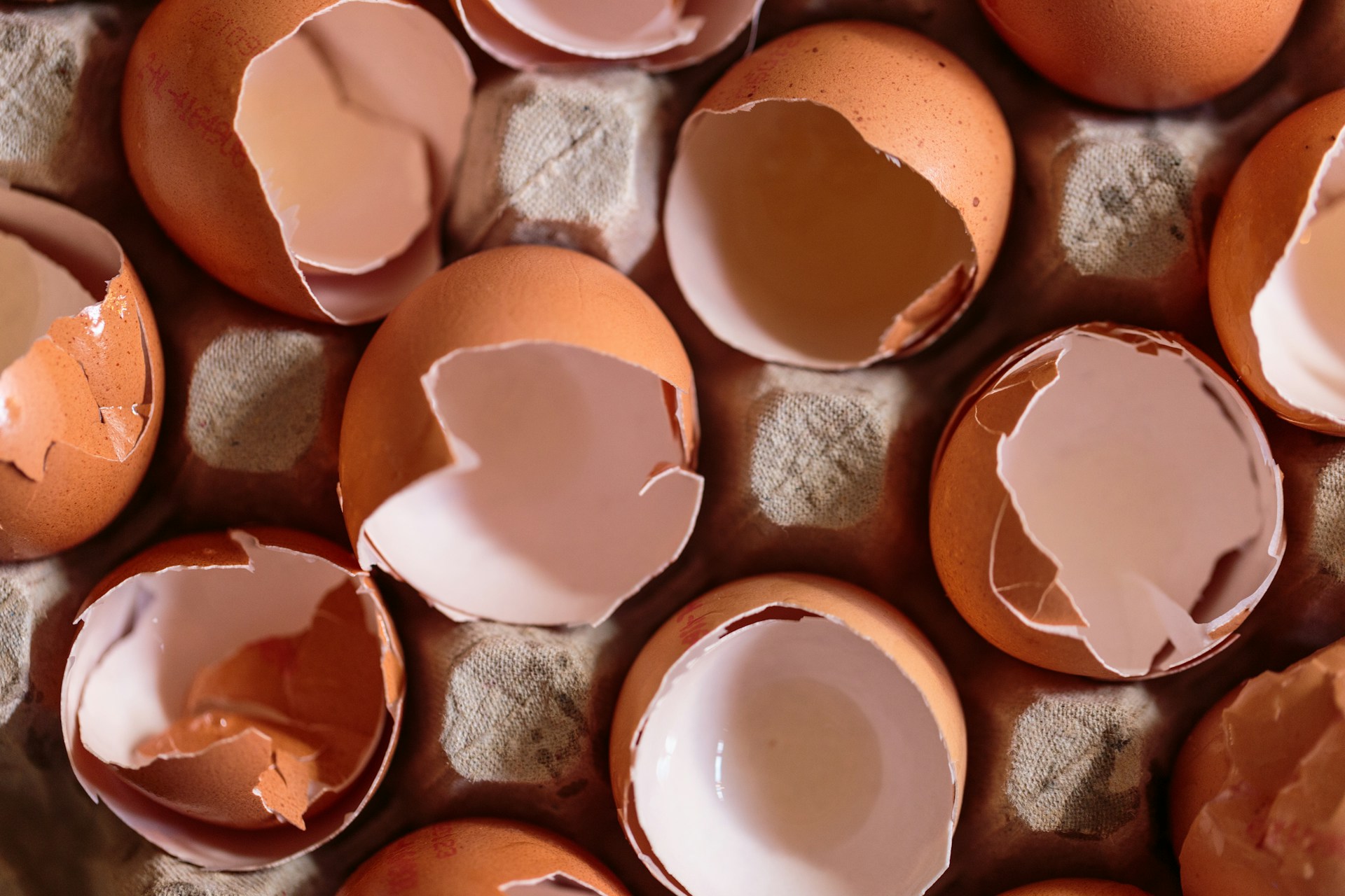 How to compost eggshells
